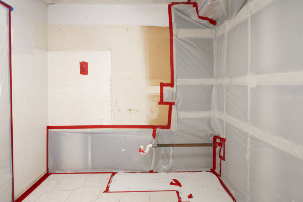 Best Mold Odor Removal Services  in Freeland, PA