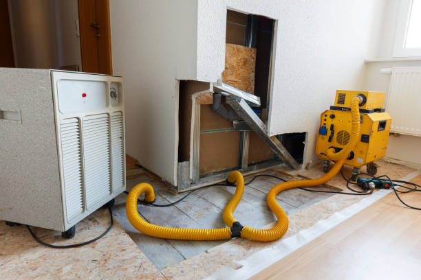 Best HVAC Mold Inspection and Cleaning  in Freeland, PA
